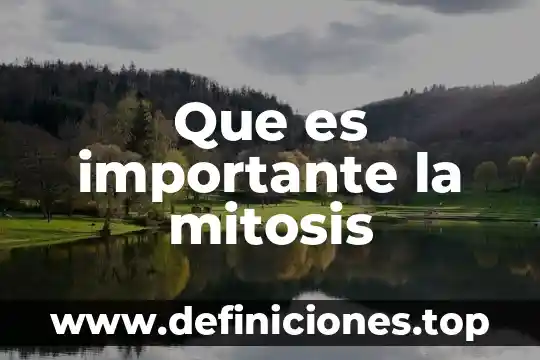 Que es la mitosis en la vida 3 Que es importante la mitosis