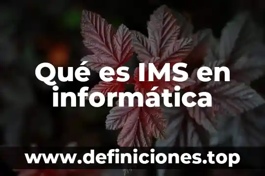 Algoritmología que es 6 Qué es IMS en informática