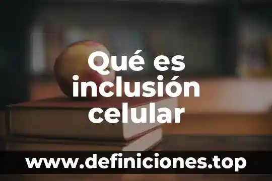 Que es la inclusion social en mexico 4 Qué es inclusión celular
