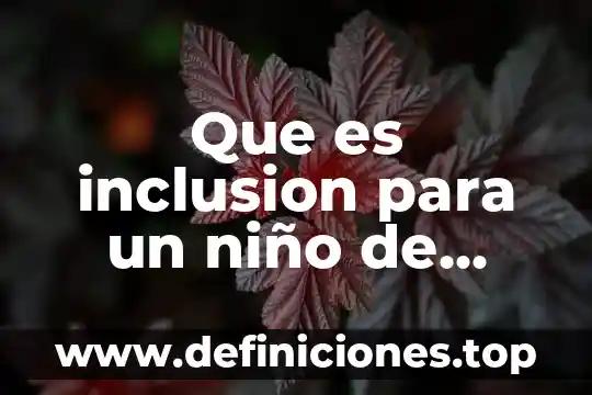Que es inclusion para un niño de primaria