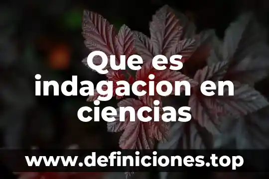 Que es la investigacion en indagacion 5 Que es indagacion en ciencias