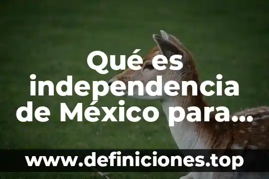 Qué es independencia de México para niños