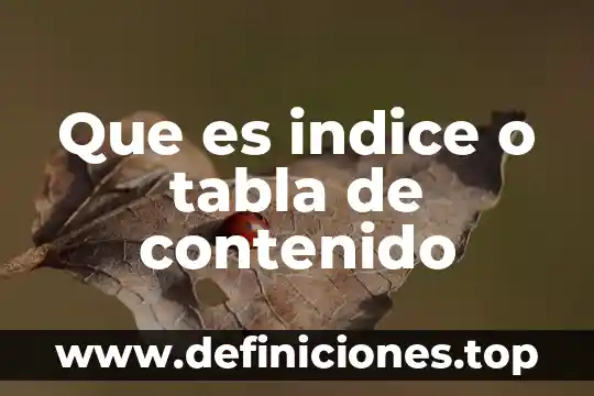 Español que es el índice 5 Que es indice o tabla de contenido