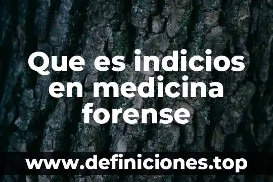Que es auditoria forense en contabilidad 3 Que es indicios en medicina forense