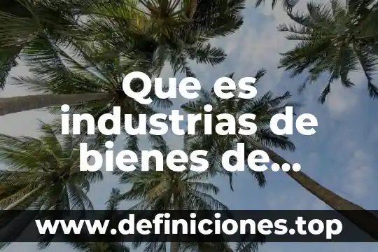 Que es industrias de bienes de consumo