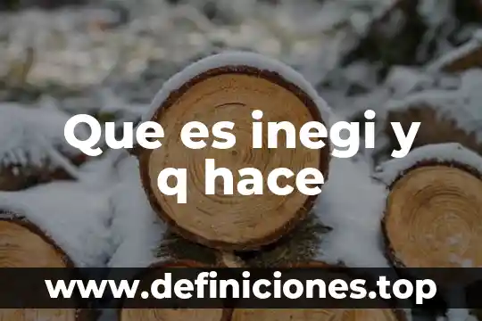 Que es inegi y q hace