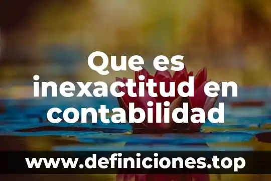 Que es inexactitud en contabilidad