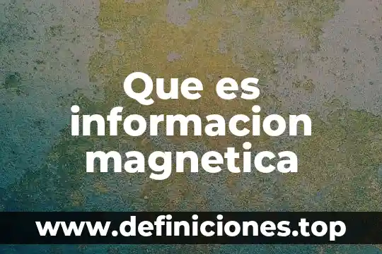 Que es informacion magnetica