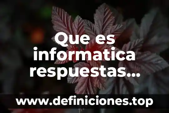 Que es una respuestas breves ejemplos 5 Que es informatica respuestas yahoo