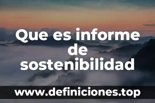 Que es el principio sostenibilidad en derecho ambiental 7 Que es informe de sostenibilidad