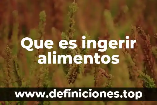 Que es un comisariato en alimentos 3 Que es ingerir alimentos