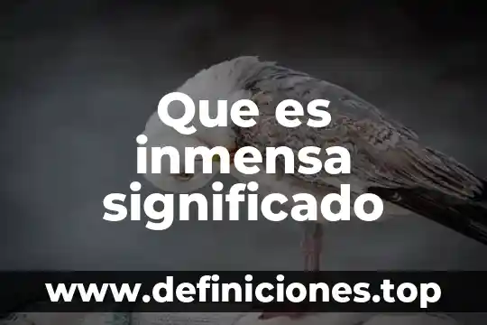 Qué es astrónomo significado 7 Que es inmensa significado