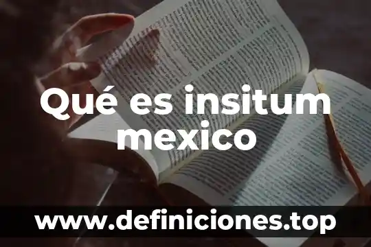 Qué es insitum mexico