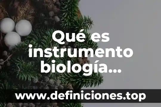 Que es una reflexion ejemplos textos 4 Qué es instrumento biología significado
