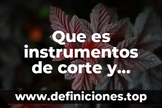 Que es estatuto de la corte 6 Que es instrumentos de corte y confeccion
