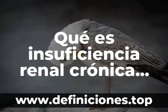 Qué es insuficiencia renal crónica terminal