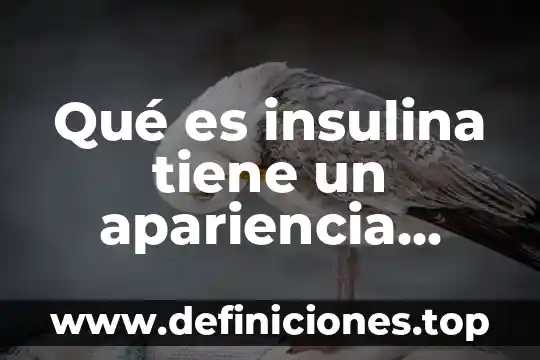 Que es el dinero resumen yahoo 3 Qué es insulina tiene un apariencia turbia y lechosa Yahoo