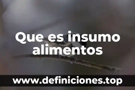 Que es calidad e inocuidad de los alimentos 4 Que es insumo alimentos