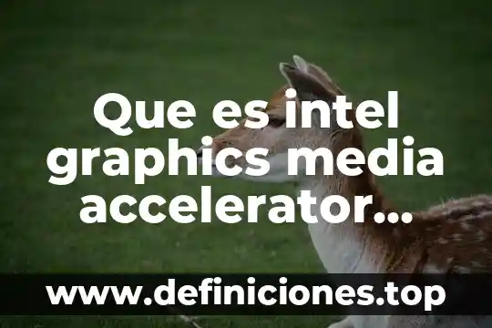 Que es intel graphics media accelerator driver
