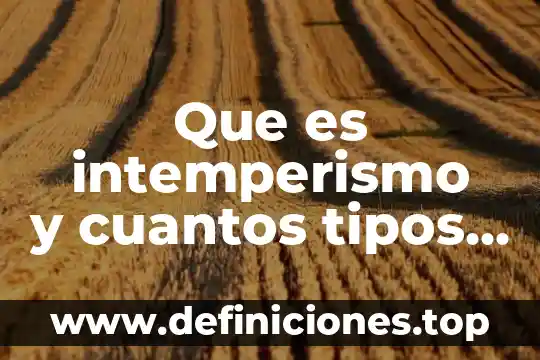 Que es intemperismo y cuantos tipos hay