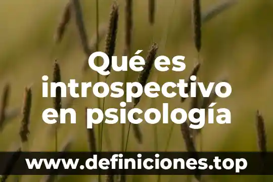 Qué es introspectivo en psicología