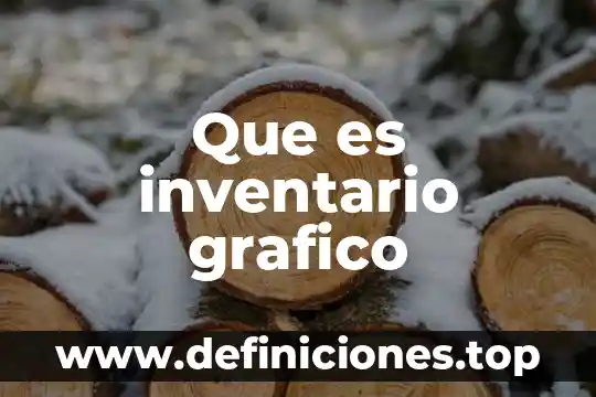 Que es inventario grafico