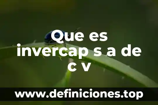 Que es serfincor s a de c v 3 Que es invercap s a de c v