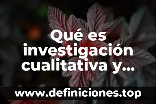 Que es una entrevista en investigacion cualitativa 7 Qué es investigación cualitativa y cuantitativa para promocion