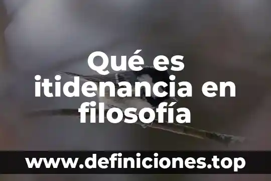 Qué es itidenancia en filosofía