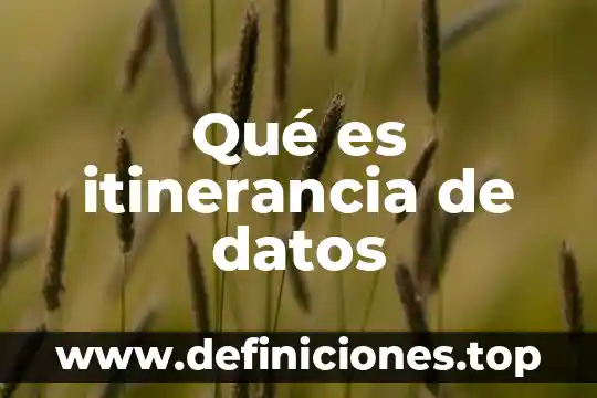 Qué es itinerancia de datos
