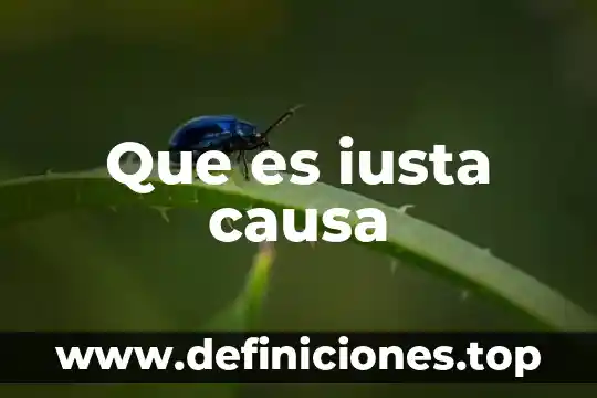 Materia proyecto de investigación que es 6 Que es iusta causa