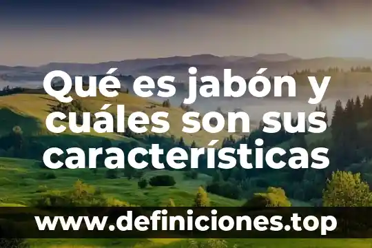 Qué es jabón y cuáles son sus características