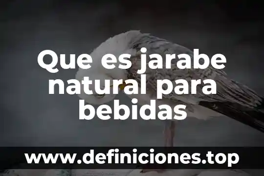 Que es un jarabe musica 7 Que es jarabe natural para bebidas