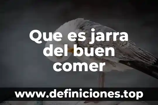 Que es jarra del buen comer