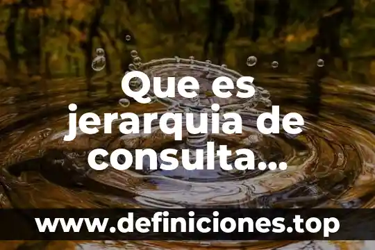 Que es una programacion vin 3 Que es jerarquia de consulta programacion