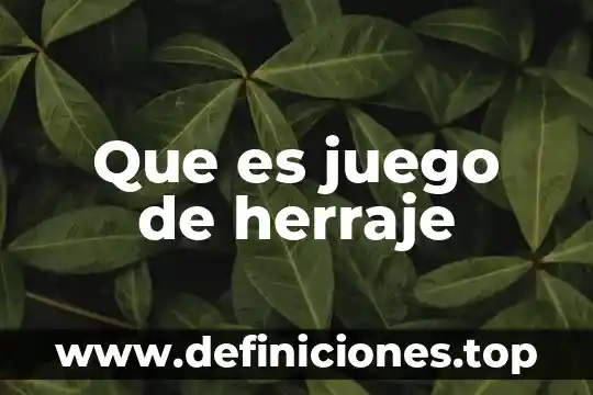 Que es violencia contra juego 6 Que es juego de herraje