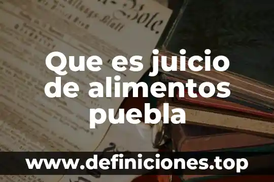 Que es juicio de alimentos puebla