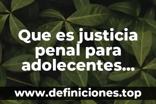 Que es la teoria del injusto penal en el funcionalismo 3 Que es justicia penal para adolecentes resumen