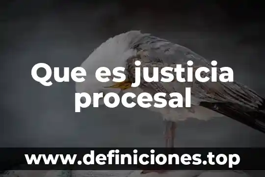 Que es justicia procesal