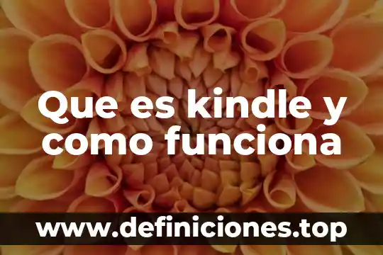 Qué es y cómo funciona OneDrive 6 Que es kindle y como funciona