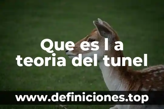 Que es l a teoria del tunel