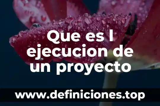 Que es ejecucion de electricidad 3 Que es l ejecucion de un proyecto