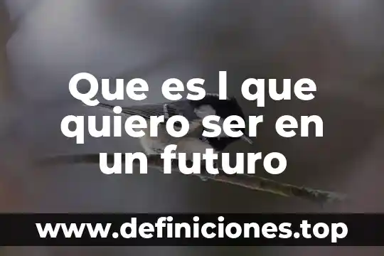 Que es l que quiero ser en un futuro