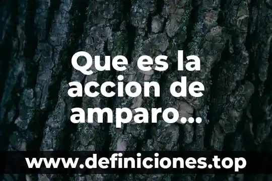 Que es accion constitucional 8 Que es la accion de amparo constitucional