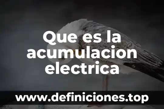 Que es una acumulación de causas en ecologia 6 Que es la acumulacion electrica