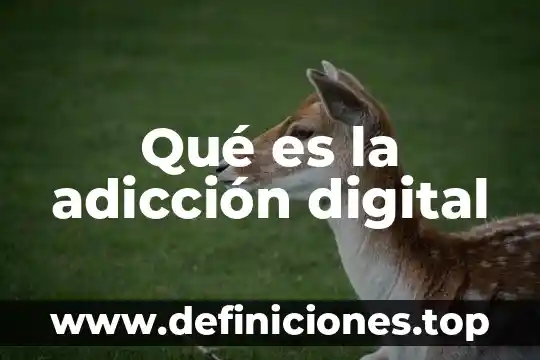 Compuerta digital que es 7 Qué es la adicción digital
