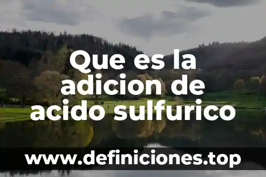 Qué es ácido sulfúrico reactivo 7 Que es la adicion de acido sulfurico