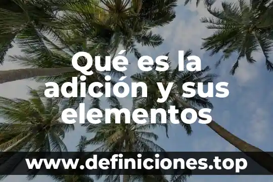Qué es la adición y sus elementos