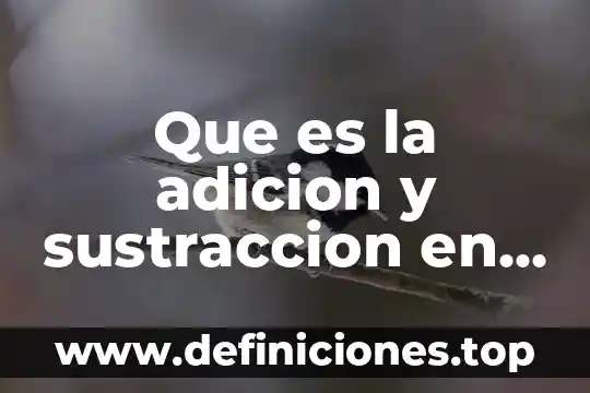 Que es una recta numerica en primaria 7 Que es la adicion y sustraccion en la recta numerica