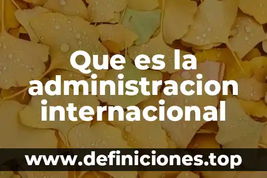 Que es la administracion internacional